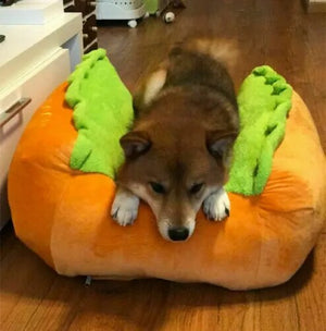 Hot Dog Pet Bed