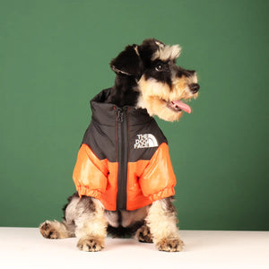 Dog Face Puffer Coat