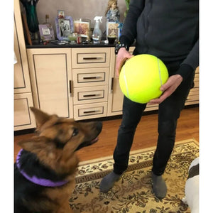 Giant Tennis Ball